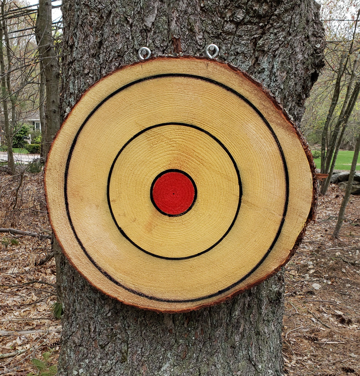 Axe Throwing Target